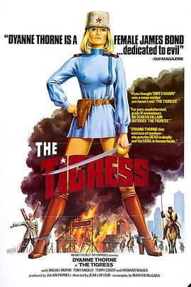 中文字幕在线精品视频不卡海报剧照