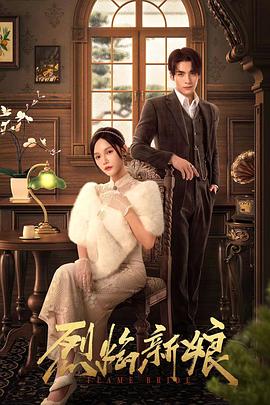 波兰改变完整版海报剧照